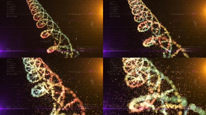 DNA结构链条医疗医学基因科学