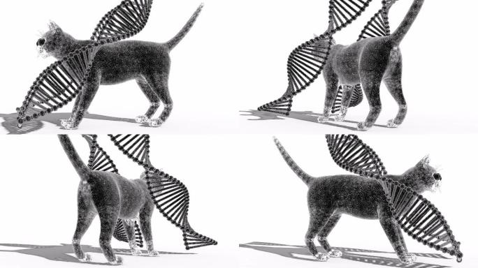 机器猫和DNA动画