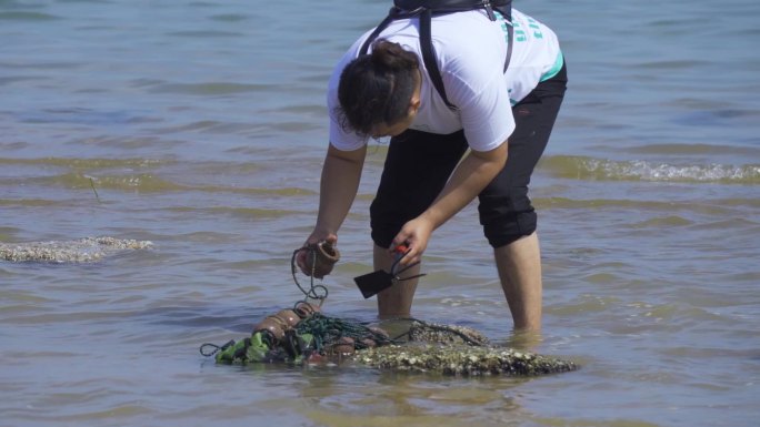 海边赶海的人