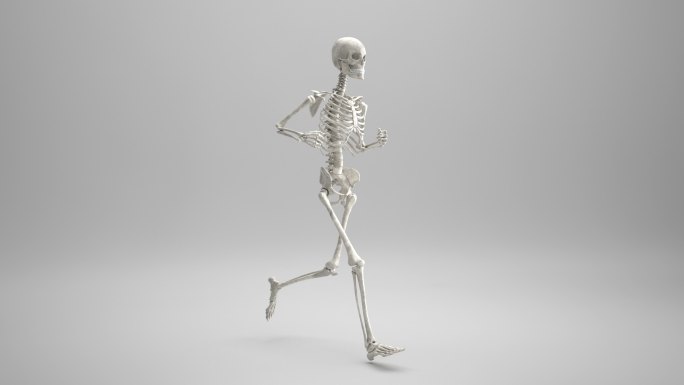 人体骨架跑步动画