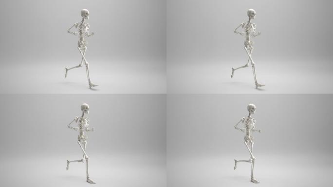 人体骨架跑步动画