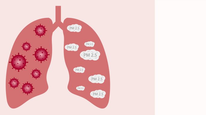 肺部动画特效人体mg元素机体