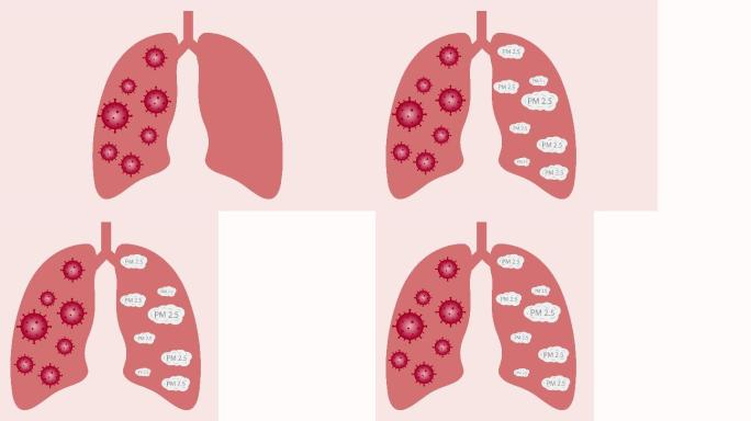 肺部动画特效人体mg元素机体