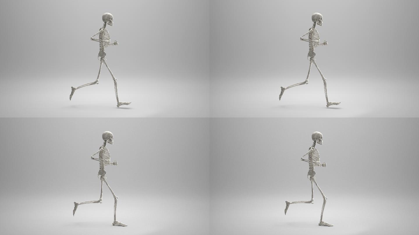 奔跑的骨架骷髅循环运动规律标准姿势