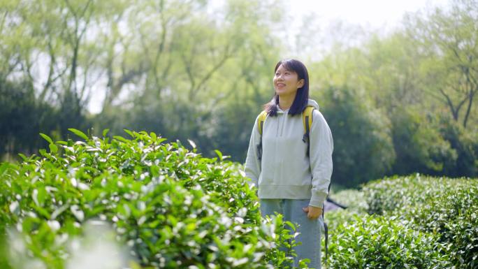 春天年轻女孩郊游茶园驻足抬头闭目张开双臂