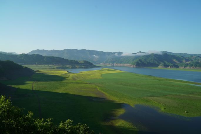 鸭绿江油菜花延时间隔风光摄影