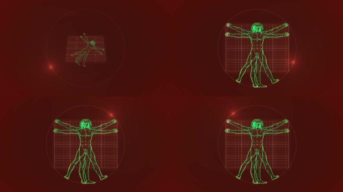 维特鲁威人动画达芬奇黄金分割线现代美学