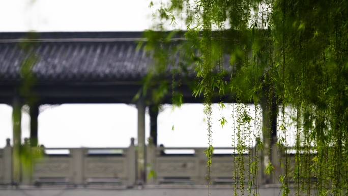 清明、谷雨、春雨、细雨