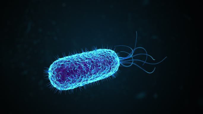 大肠杆菌或显微镜下漂浮的细菌