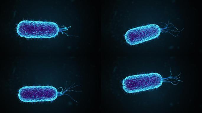 大肠杆菌或显微镜下漂浮的细菌