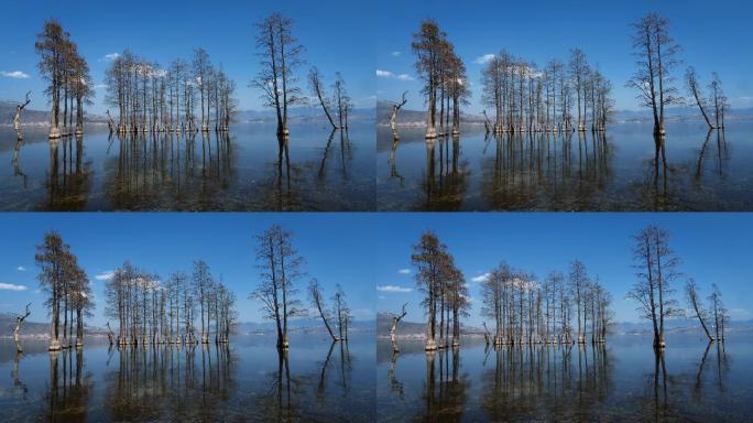 蓝色湖面树木倒影保护环境
