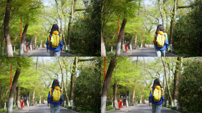 春天年轻女孩背着包在公园路上边走边看美景