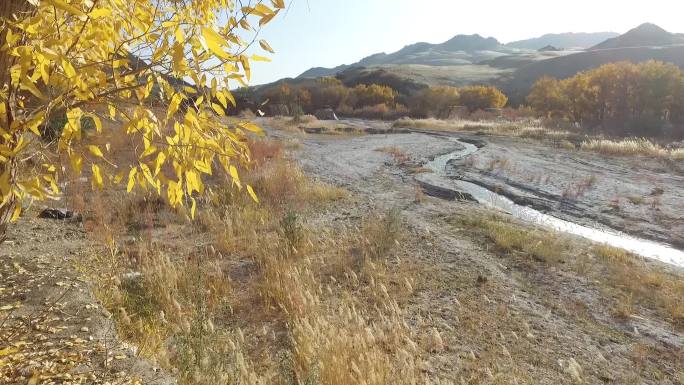 甘肃阿克赛多坝沟秋季峡谷胡杨峡谷