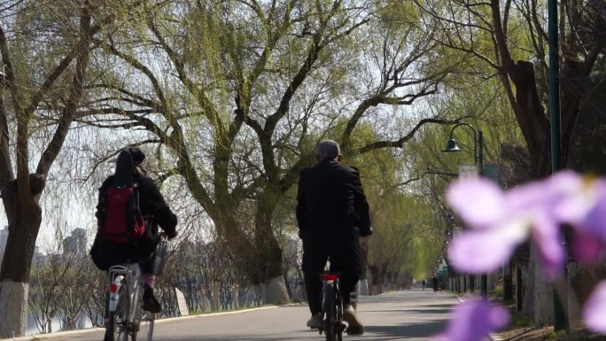 北京通州大运河森林公园春天骑行挑花盛开