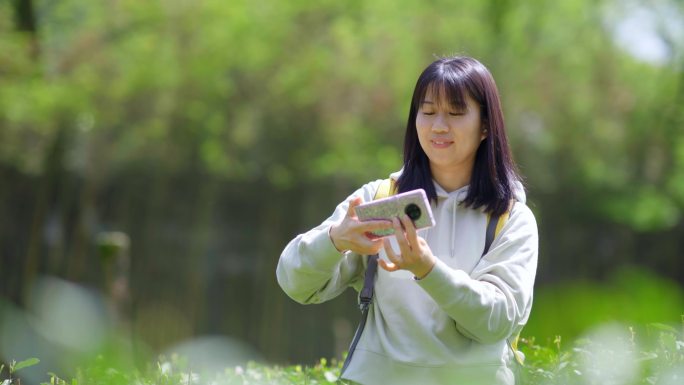 春天年轻女孩郊游茶园拿手机自拍刷朋友圈