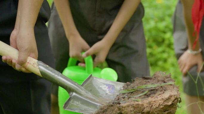 植树节老师带领学生种树浇水填土护树施肥