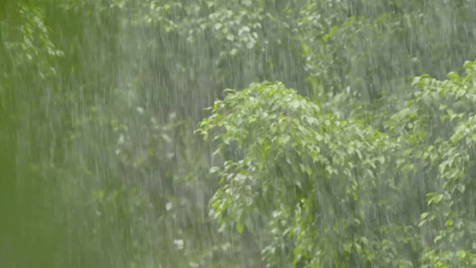 庭园屋檐雨滴夏天植物淋雨大雨暴雨唯美空镜