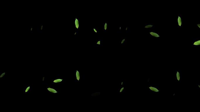 端午节粽叶漂浮视频