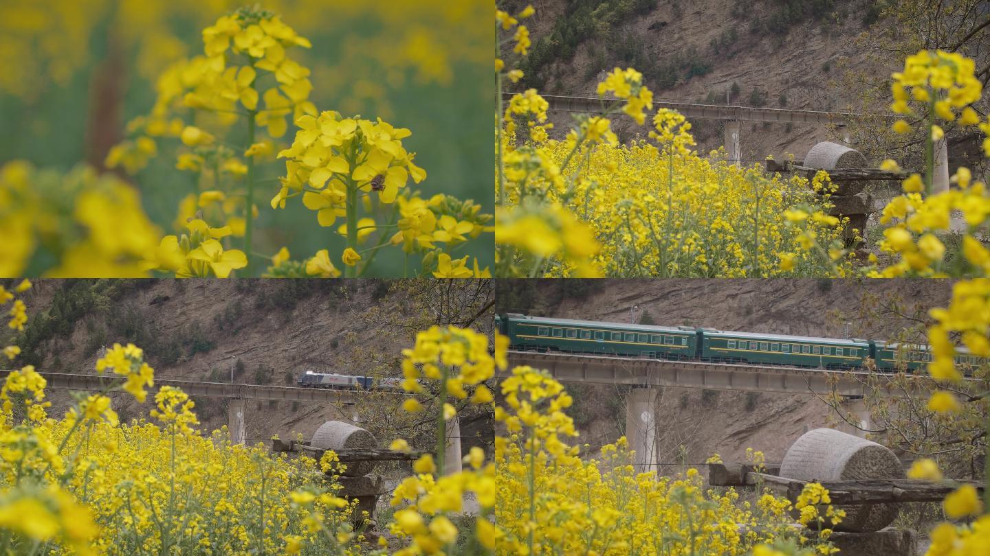 火车桥金黄油菜花蜜蜂碾盘4K高清视频