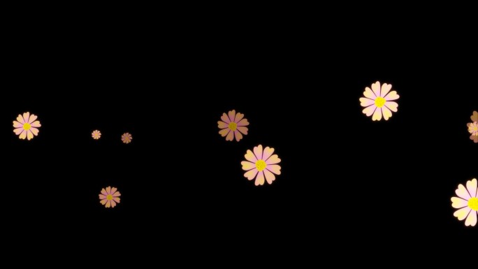 菊花漂浮视频