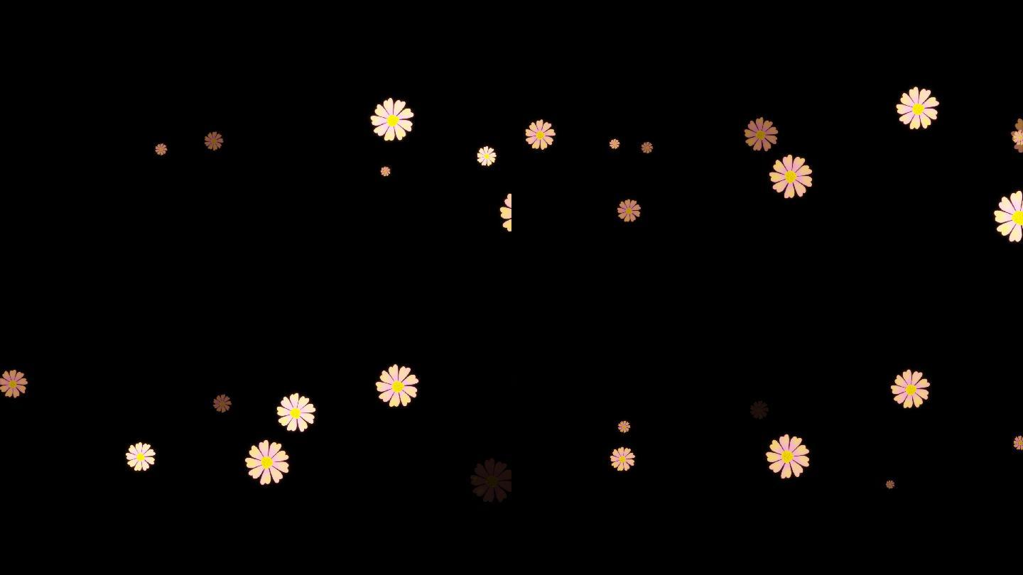 菊花漂浮视频