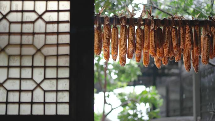 农村窗外下雨