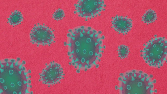 病毒和细菌传染病微生物免疫系统