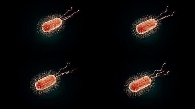 细菌医学背景新冠病毒细菌细胞微生物真菌