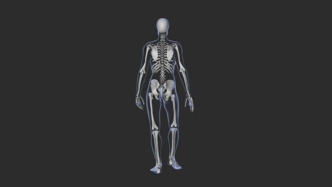 骨架行走的3D动画