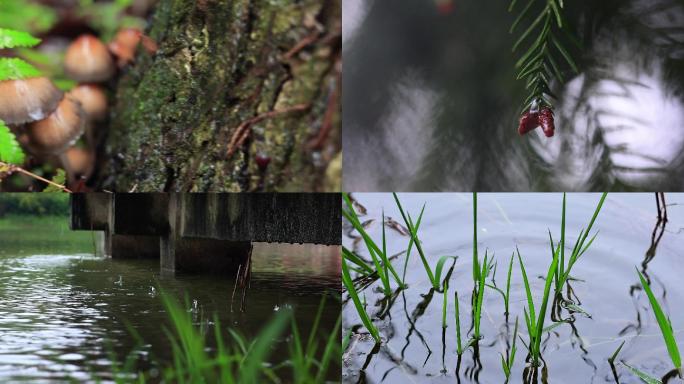 清明时节下雨