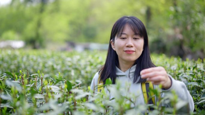 春天年轻女孩郊游茶园触摸低头闻闻清新茶叶