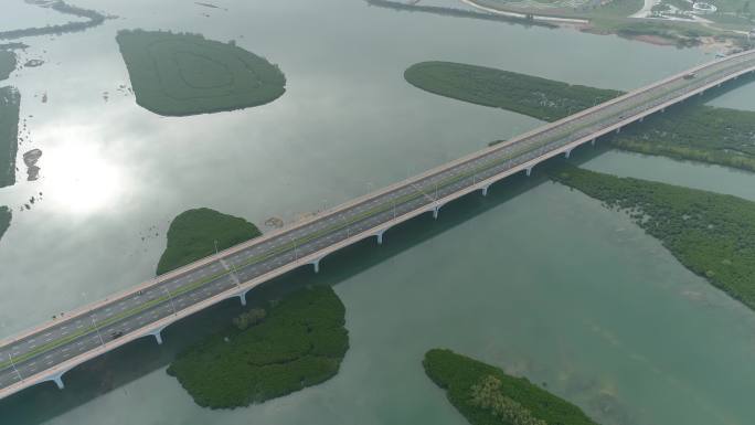 下潭围湿地公园 航拍 厦门 风景 旅游