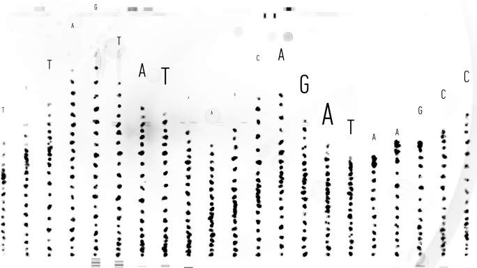 DNA字符串的动画