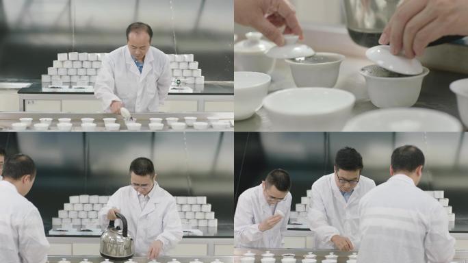 专业评茶斗茶