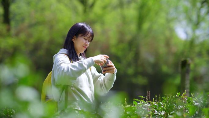 春天年轻女孩郊游茶园拿手机拍照刷朋友圈