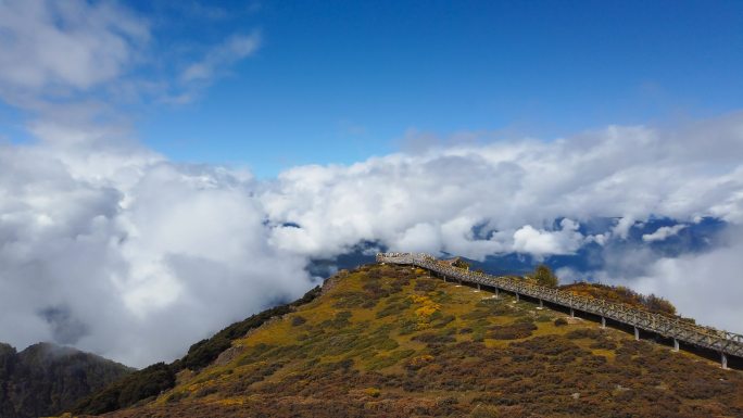 玛娜茶金观景台稻城亚丁三怙主神山自然风光