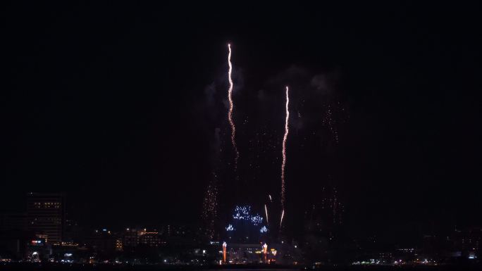 夜空中的烟花绽放美景