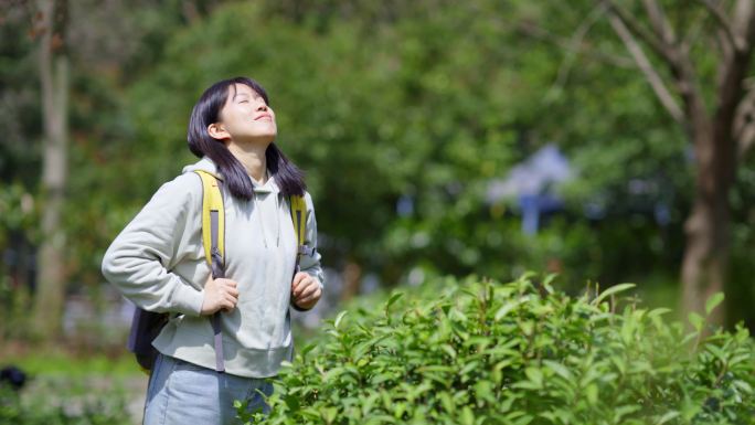 春天年轻女孩郊游绿色茶园抬头感受清新气息