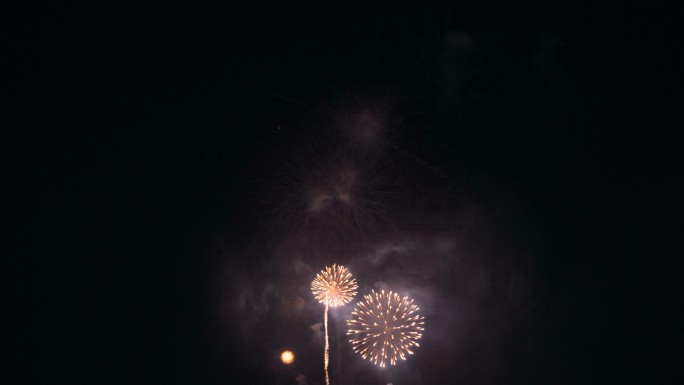 夜空中的烟花烟花秀绽放庆典