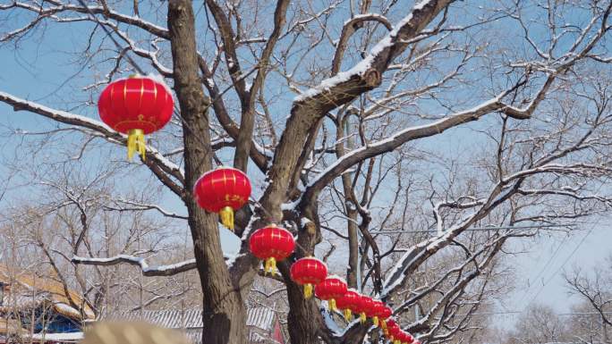 北京街道雪景