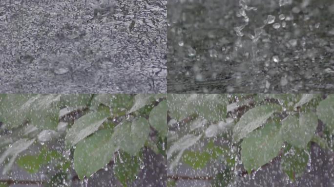 庭园屋檐雨滴夏天植物淋雨大雨暴雨唯美空镜