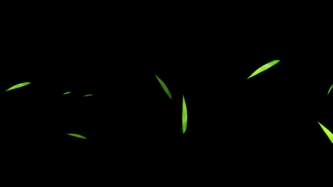 竹叶漂浮视频
