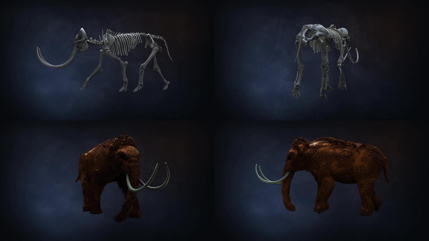 考古旧石器时代猛犸象动画