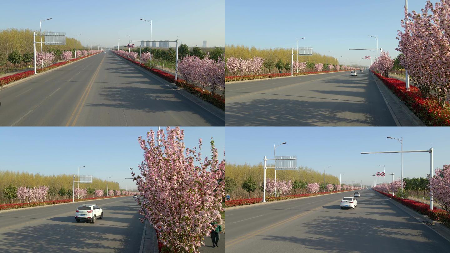 道路两侧绿化风景