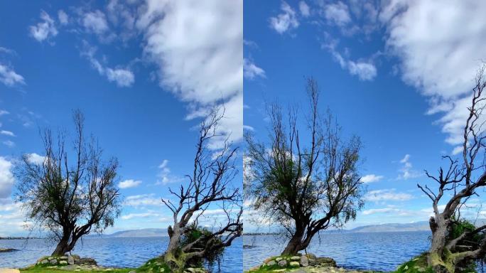 竖屏大理洱海意境风景 (27)