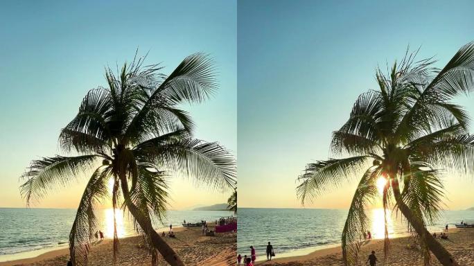 竖屏海南三亚海边生活椰子树 (9)