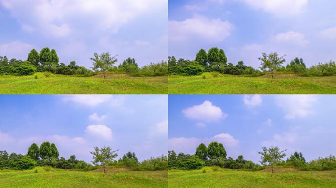 4K延时摄影山东济南雪野草坪蓝天白云空镜
