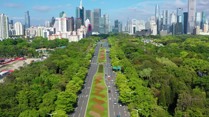 深圳森林城市深南大道