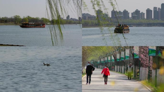 北京通州大运河森林公园游艇游人野鸭子骑行