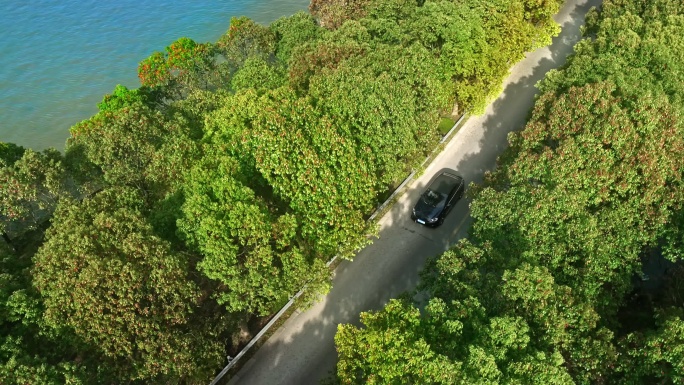 汾湖 道路景观 展示 航拍